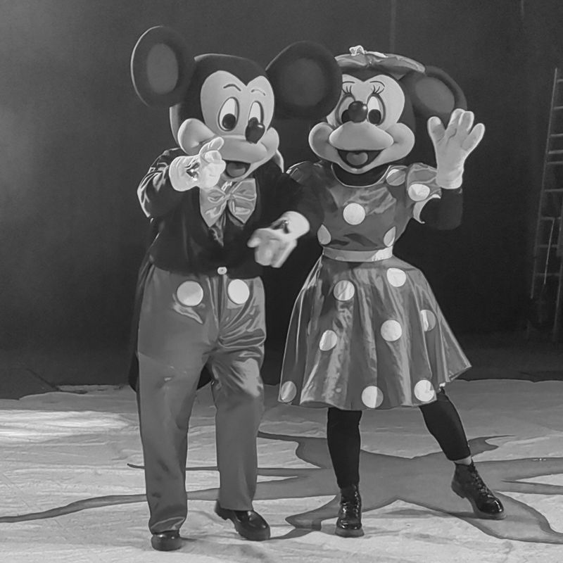 Happy birthday Mickey and Minnie Mouse!  photo