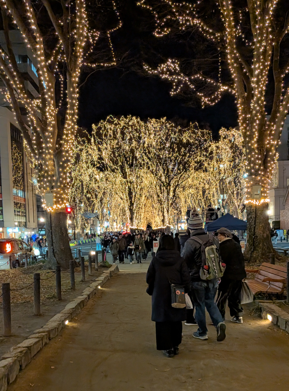 Sendai's Pageant of Starlight 2025: Lights and Ice photo