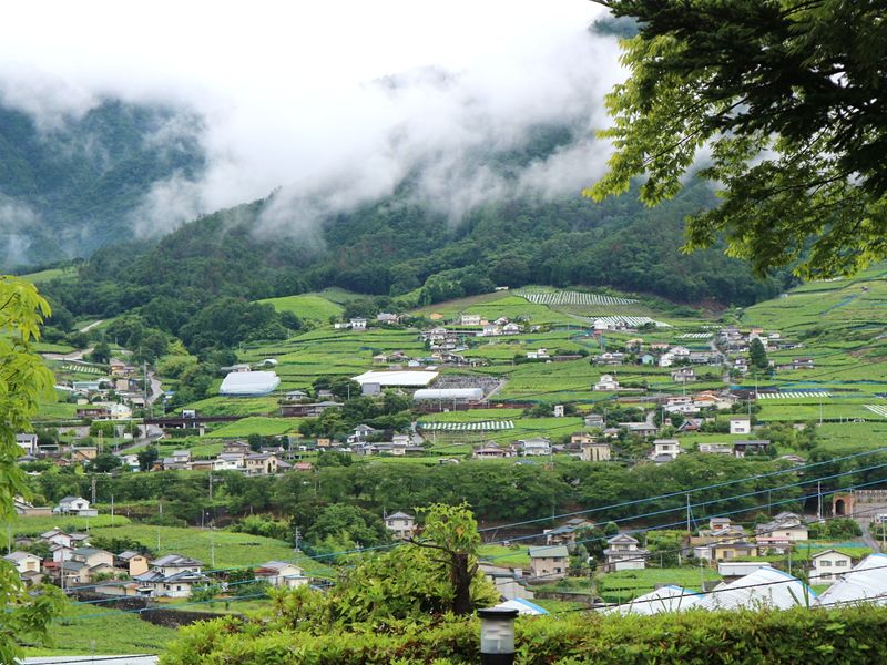 A weekend in Kofu, Yamanashi Prefecture, a city celebrating 500 years photo
