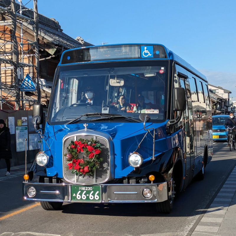 A hundred years of sightseeing buses photo